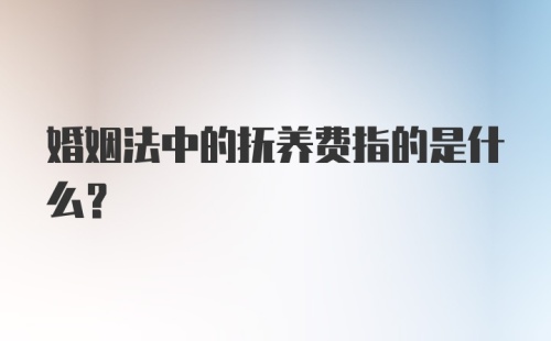 婚姻法中的抚养费指的是什么?