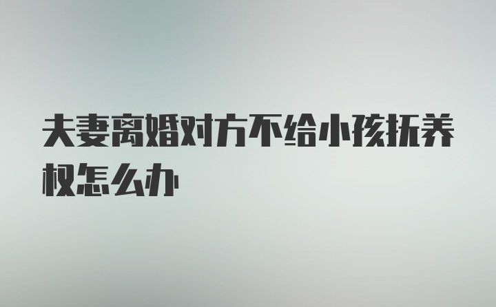 夫妻离婚对方不给小孩抚养权怎么办