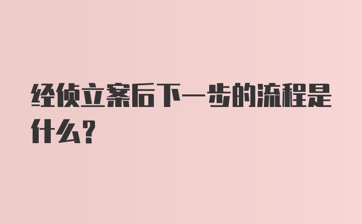 经侦立案后下一步的流程是什么？