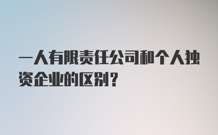 一人有限责任公司和个人独资企业的区别？