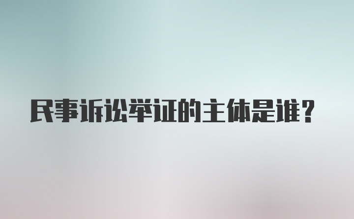 民事诉讼举证的主体是谁？