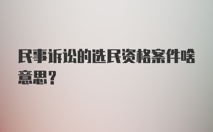 民事诉讼的选民资格案件啥意思?