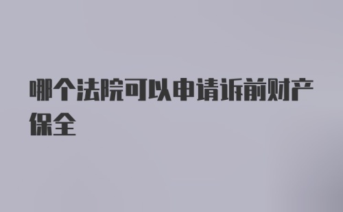 哪个法院可以申请诉前财产保全