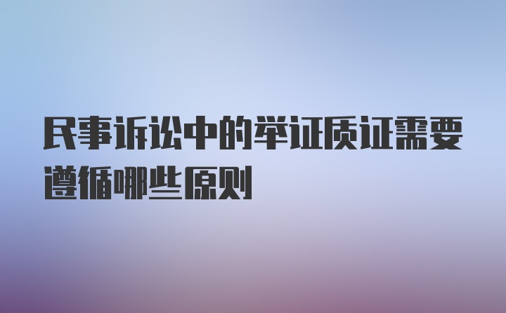 民事诉讼中的举证质证需要遵循哪些原则