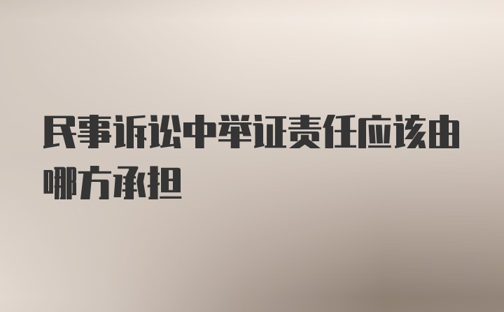 民事诉讼中举证责任应该由哪方承担