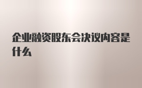 企业融资股东会决议内容是什么