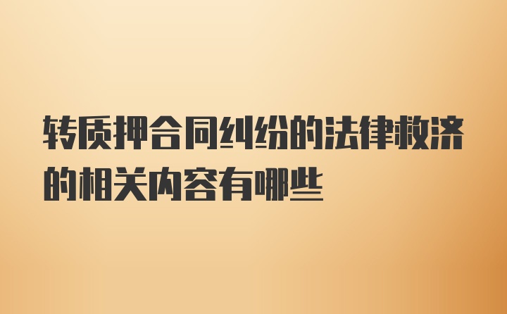 转质押合同纠纷的法律救济的相关内容有哪些