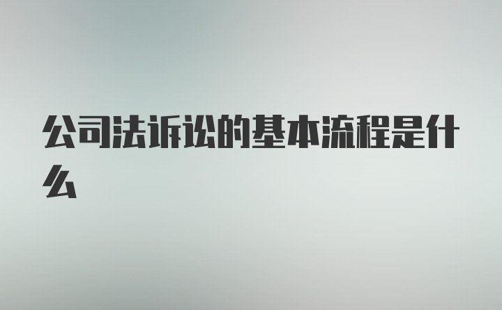 公司法诉讼的基本流程是什么