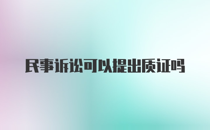 民事诉讼可以提出质证吗