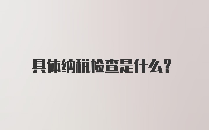 具体纳税检查是什么？