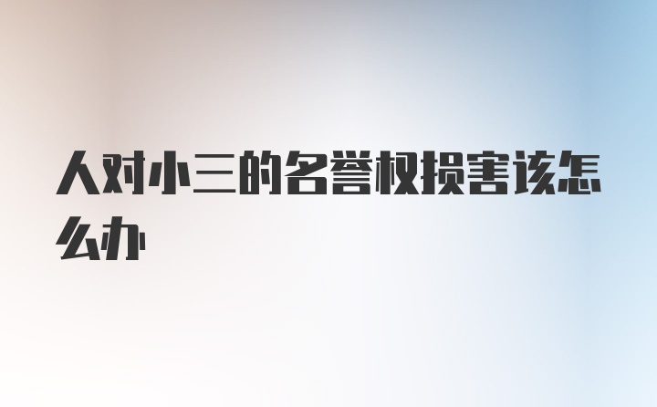 人对小三的名誉权损害该怎么办