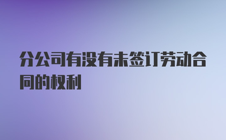 分公司有没有未签订劳动合同的权利