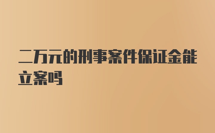 二万元的刑事案件保证金能立案吗