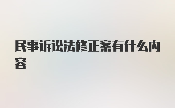 民事诉讼法修正案有什么内容