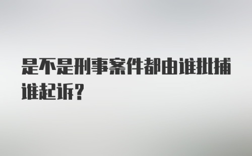 是不是刑事案件都由谁批捕谁起诉？