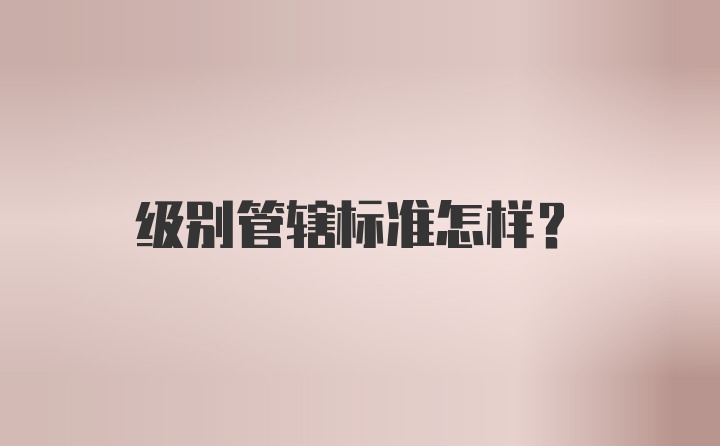 级别管辖标准怎样？