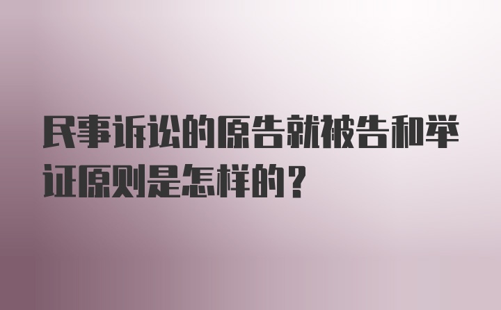 民事诉讼的原告就被告和举证原则是怎样的？