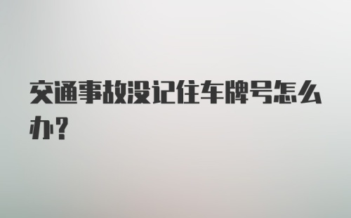 交通事故没记住车牌号怎么办？