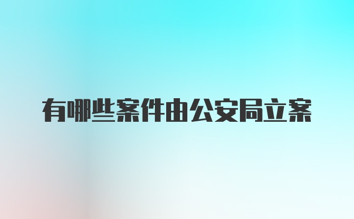 有哪些案件由公安局立案