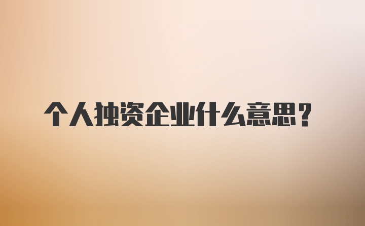 个人独资企业什么意思？