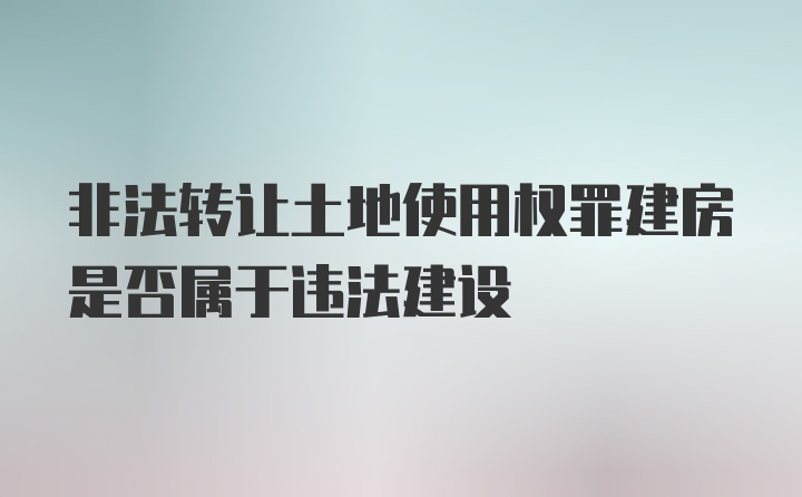 非法转让土地使用权罪建房是否属于违法建设