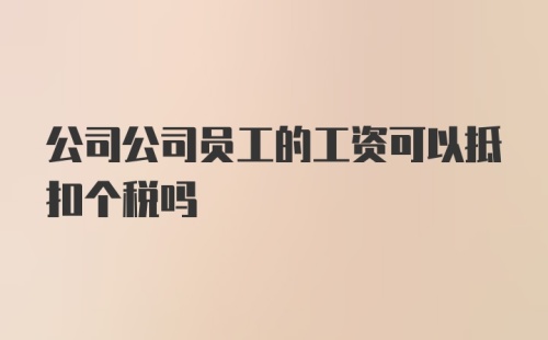 公司公司员工的工资可以抵扣个税吗