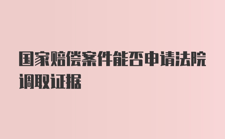 国家赔偿案件能否申请法院调取证据