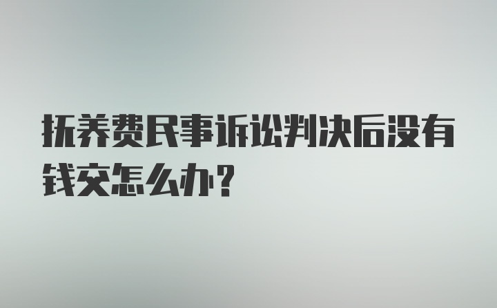 抚养费民事诉讼判决后没有钱交怎么办？