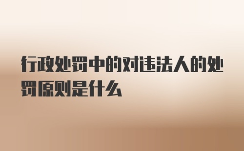 行政处罚中的对违法人的处罚原则是什么