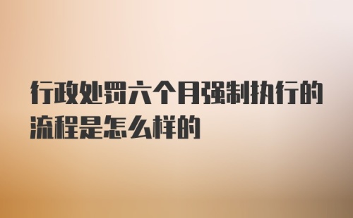 行政处罚六个月强制执行的流程是怎么样的