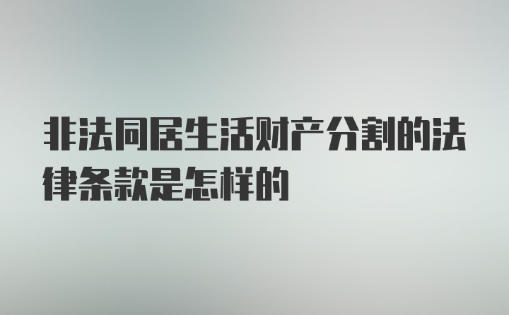 非法同居生活财产分割的法律条款是怎样的