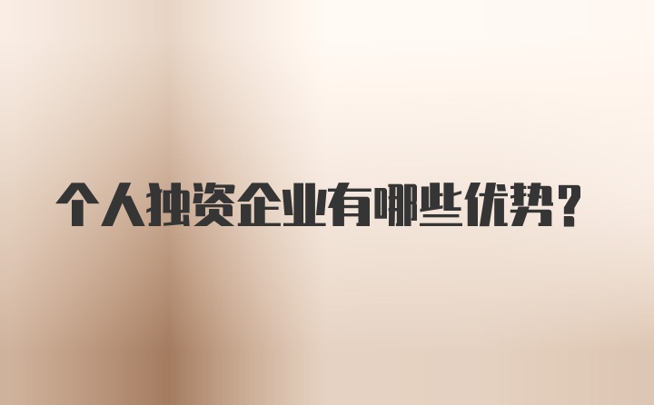 个人独资企业有哪些优势？