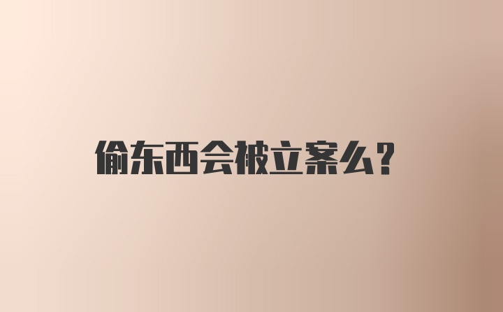 偷东西会被立案么？