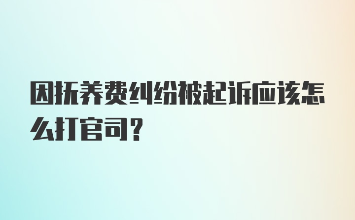 因抚养费纠纷被起诉应该怎么打官司？