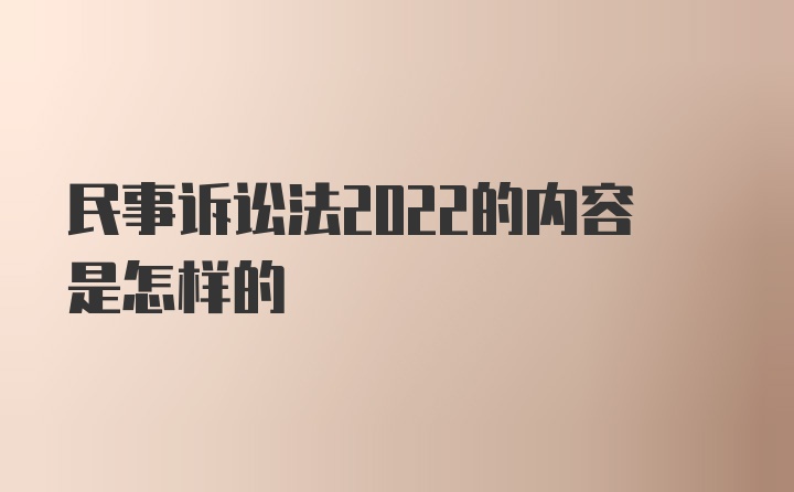 民事诉讼法2022的内容是怎样的