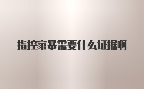 指控家暴需要什么证据啊