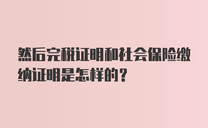 然后完税证明和社会保险缴纳证明是怎样的？