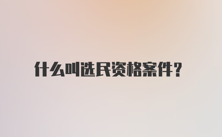 什么叫选民资格案件？