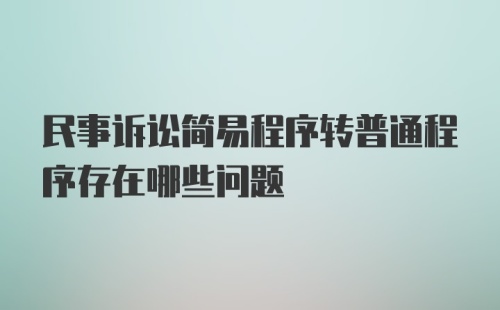 民事诉讼简易程序转普通程序存在哪些问题