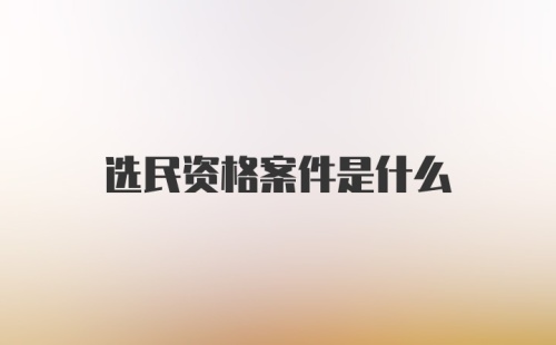 选民资格案件是什么