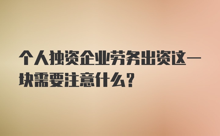 个人独资企业劳务出资这一块需要注意什么？