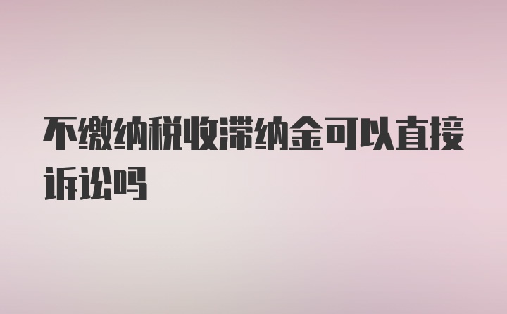 不缴纳税收滞纳金可以直接诉讼吗