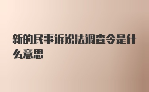 新的民事诉讼法调查令是什么意思