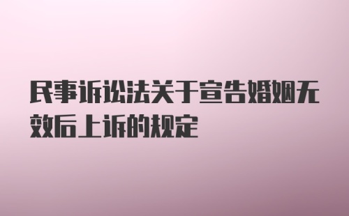 民事诉讼法关于宣告婚姻无效后上诉的规定