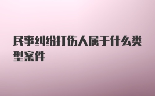 民事纠纷打伤人属于什么类型案件