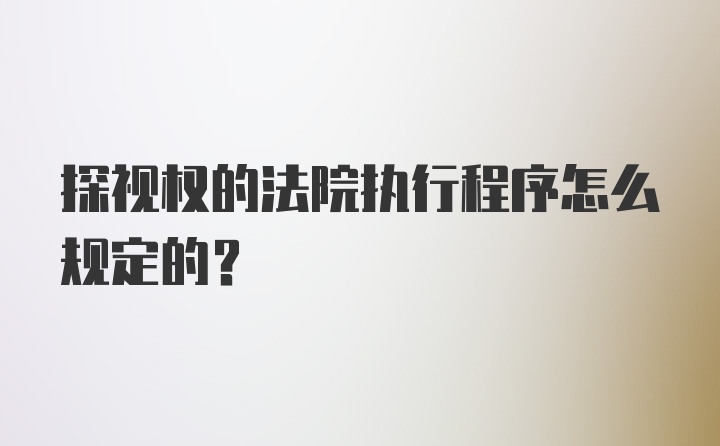 探视权的法院执行程序怎么规定的？