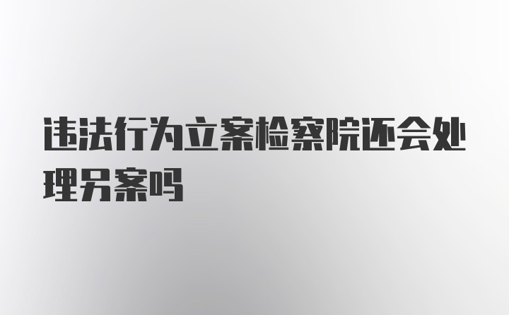 违法行为立案检察院还会处理另案吗