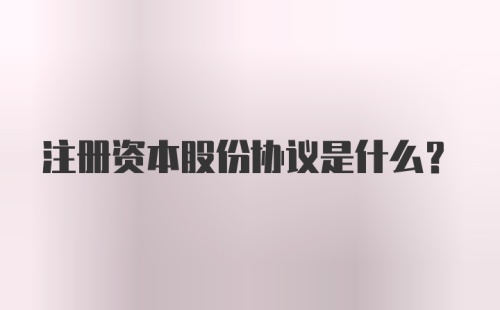 注册资本股份协议是什么？