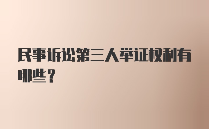 民事诉讼第三人举证权利有哪些？