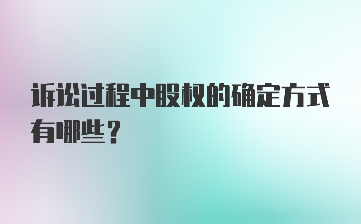 诉讼过程中股权的确定方式有哪些？